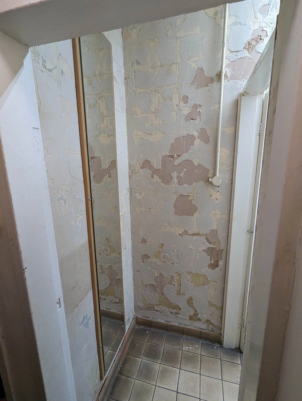  Toilet - Before - 1