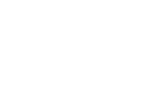  Handshake